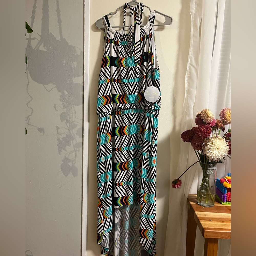 Emma & Michele Black and White Striped Dress